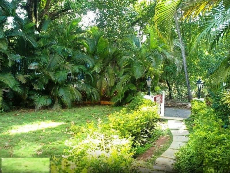 Little Italy Hotell Calangute Eksteriør bilde